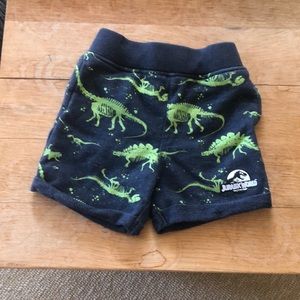 Jurassic World sweat shorts (18M)